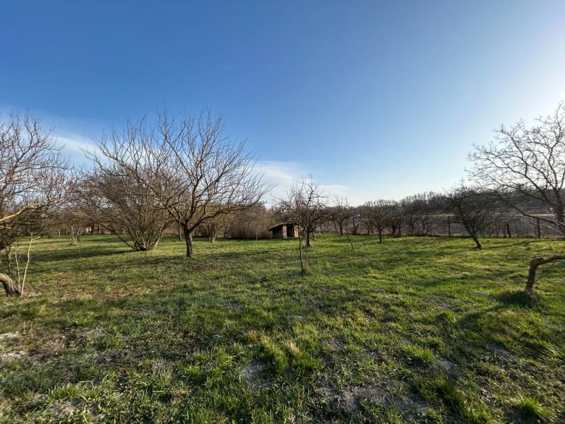 IMG_8963 zahrada 3.jpg